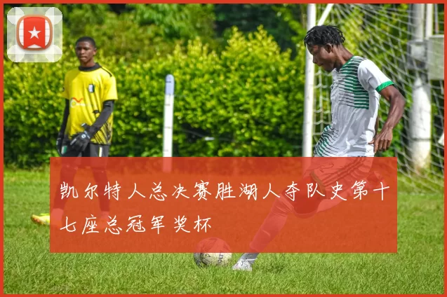 凯尔特人总决赛胜湖人夺队史第十七座总冠军奖杯