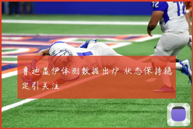 鲁迪盖伊体测数据出炉 状态保持稳定引关注