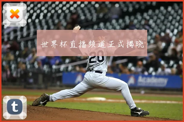 世界杯直播频道正式揭晓