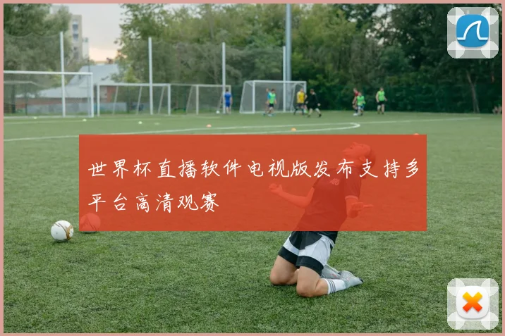 世界杯直播软件电视版发布支持多平台高清观赛